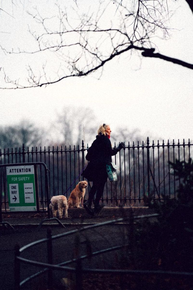 A woman with her dog beside a park fence in winter dusk